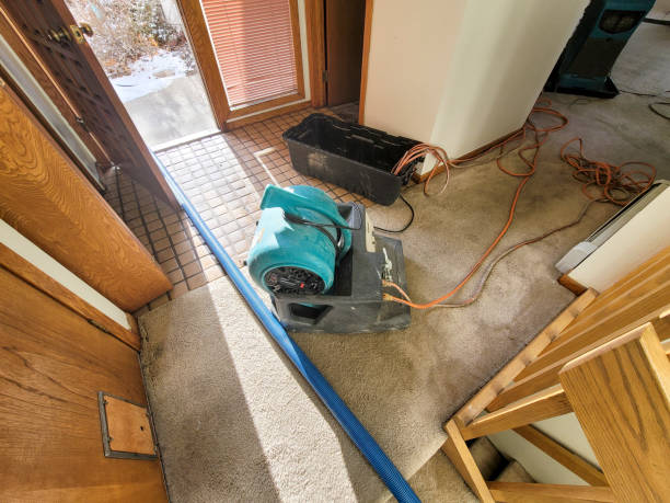 Best Water damage restoration cost  in Oberlin, KS