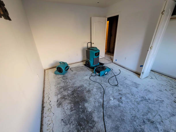 Best Water damage cleanup near me  in Oberlin, KS
