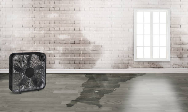 Best Local water damage restoration  in Oberlin, KS