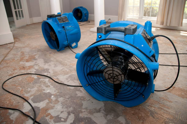 Best Flood restoration services  in Oberlin, KS
