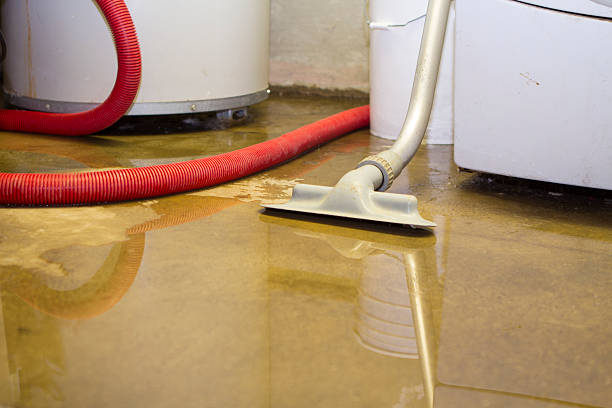 Best Carpet water damage restoration  in Oberlin, KS