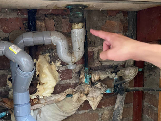 Best Professional water damage repair  in Oberlin, KS