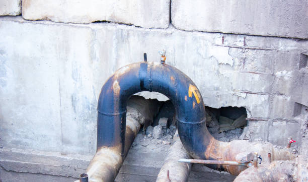 Best Mold removal after water damage  in Oberlin, KS